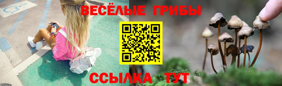 Псилоцибиновые грибы прущие грибы Беслан